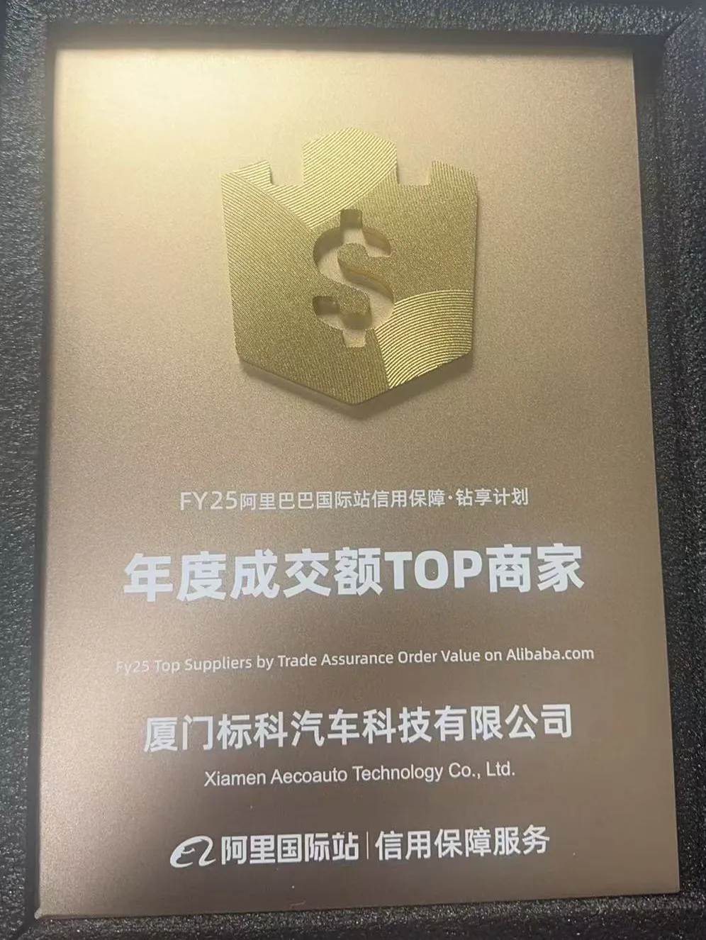 alibaba.com의 거래 보증 주문 가치에 의해 FY25 최고 공급 업체가 된 Xiamen Aecoauto Technology Co., Ltd.